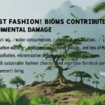 How Fast Fashion Contributes to Environmental Damage