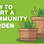 How to Start a Community Garden